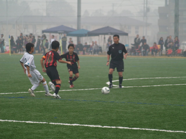 img0008.jpg