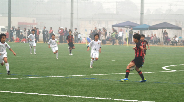 img0010.jpg