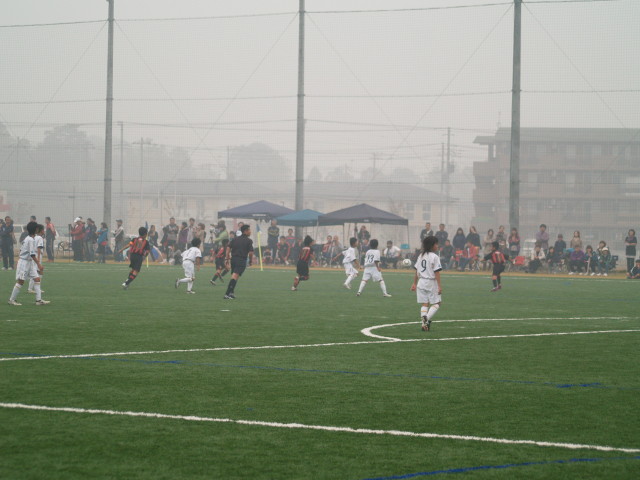 img0011.jpg
