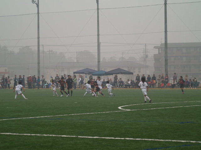 img0012.jpg