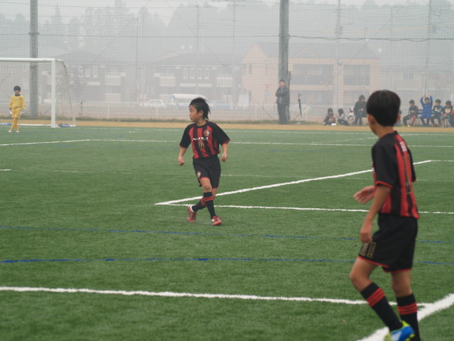 img0016.jpg