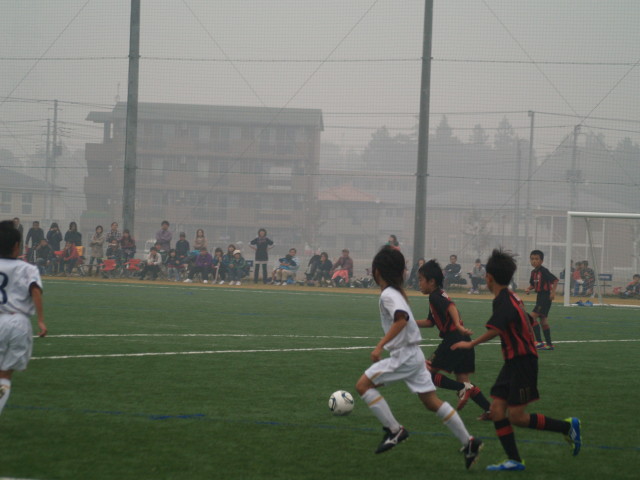 img0029.jpg
