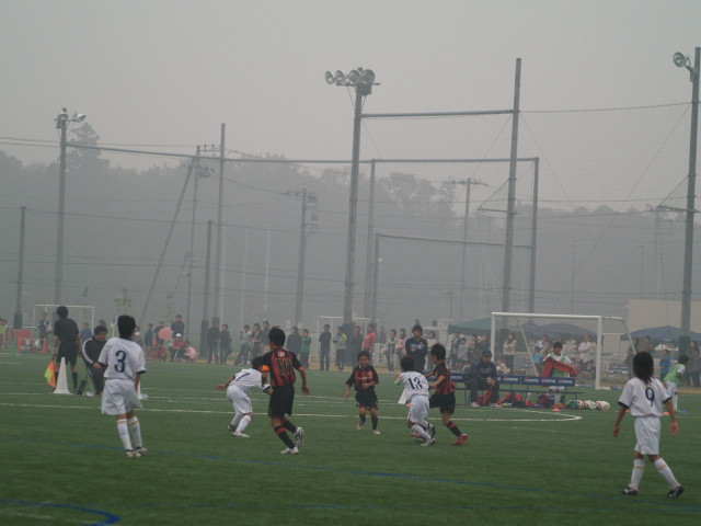 img0035.jpg